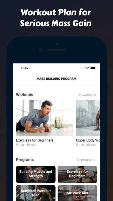 Tangkapan layar Mass Building Program
