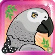 Fancy Parrot Dress Up Game Fancy Parrot Dress Up Game