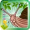 Fancy Snail - Dress Up Game