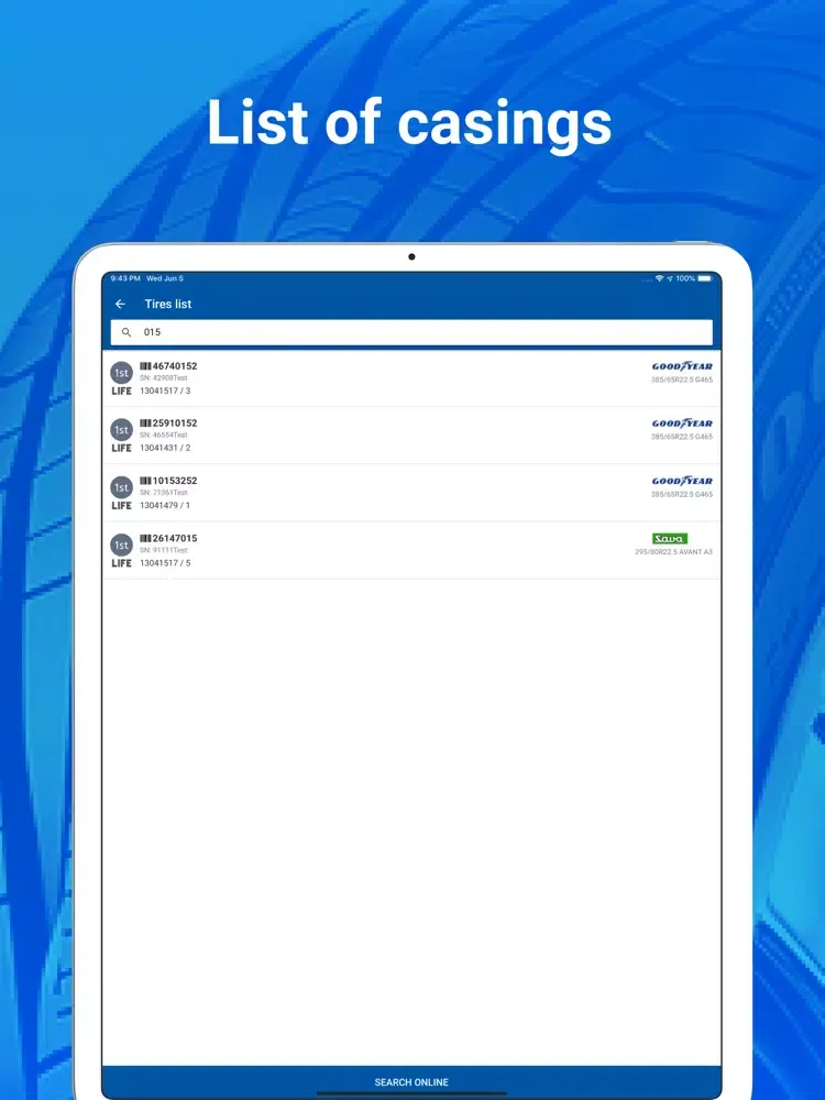 Screenshot di eCasing Inspection iPad 