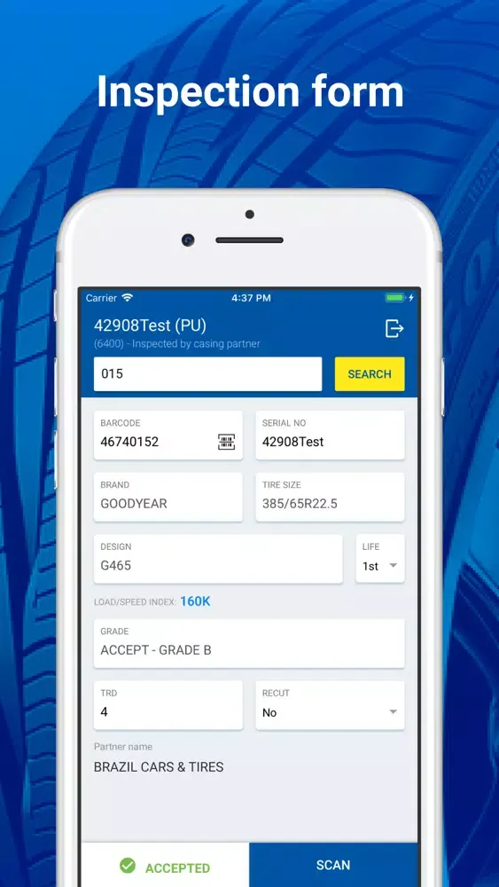 Screenshot di eCasing Inspection