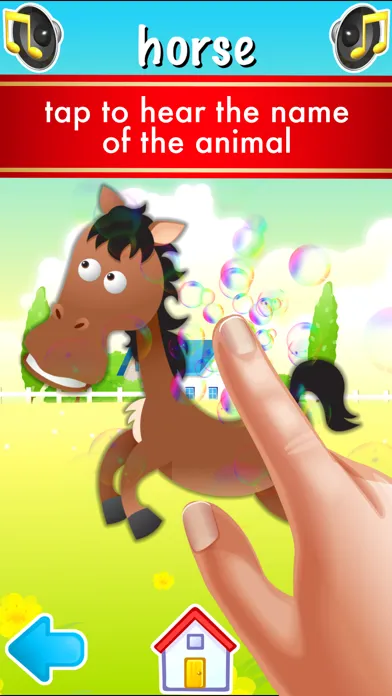 Screenshot di First Words Animals Flashcards