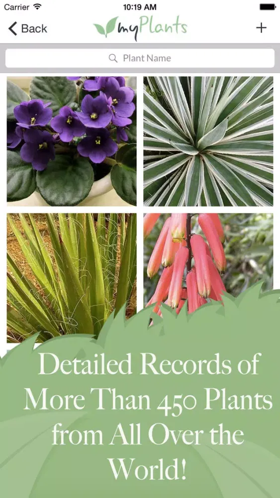 ภาพหน้าจอของ myPlants | Manage tool and reminder for watering and treating your garden