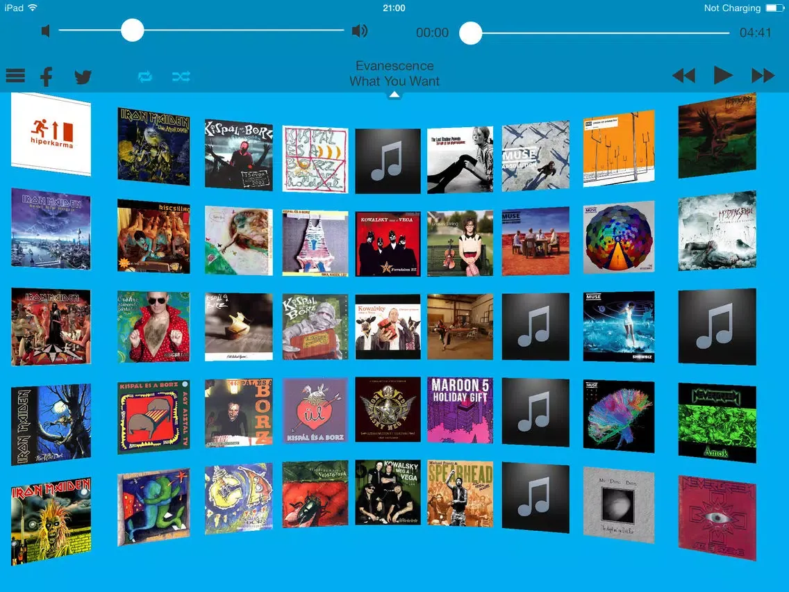 صور Cover Gallery iPad 