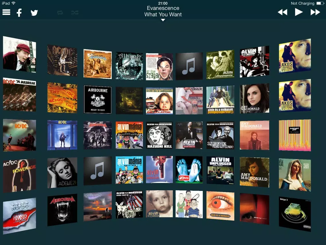 صور Cover Gallery iPad 