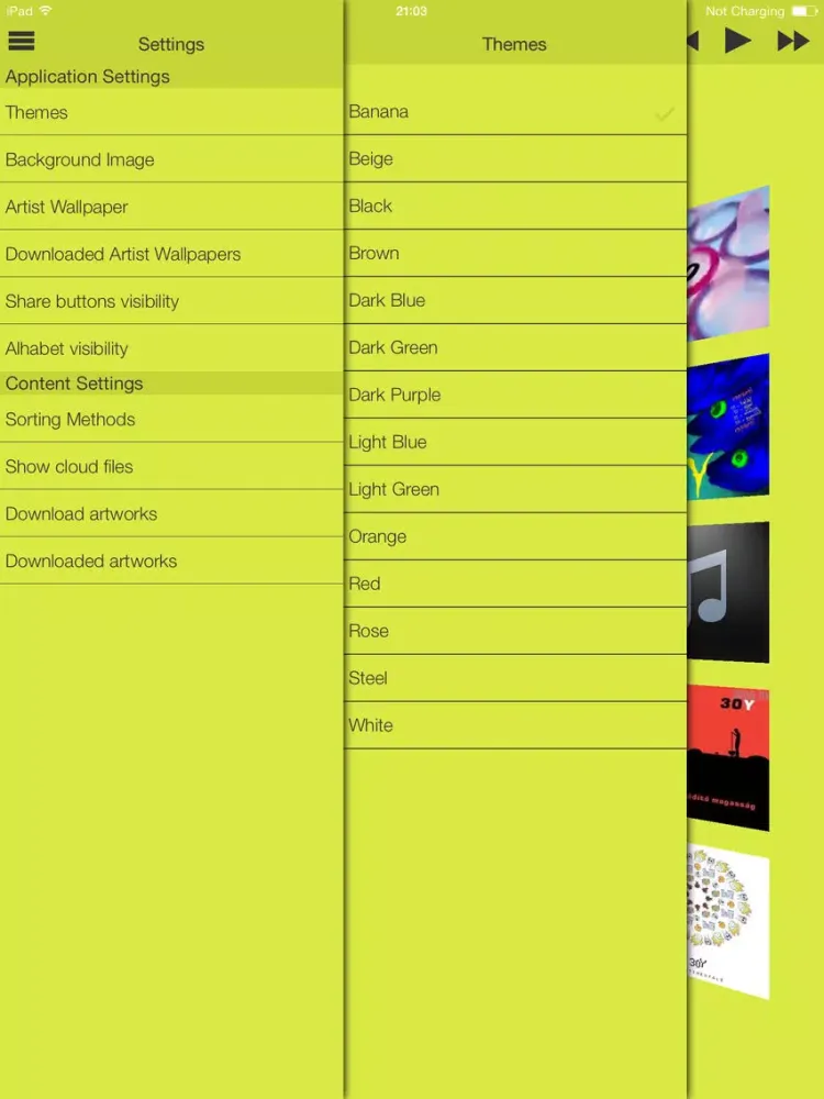 صور Cover Gallery iPad 