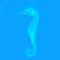 Atlas of Radiological Images