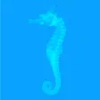 Atlas of Radiological Images Atlas of Radiological Images