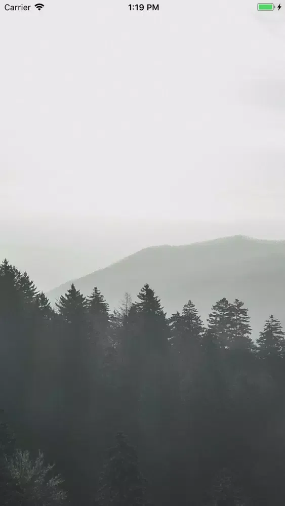 صور Women's Trail Collective - EU