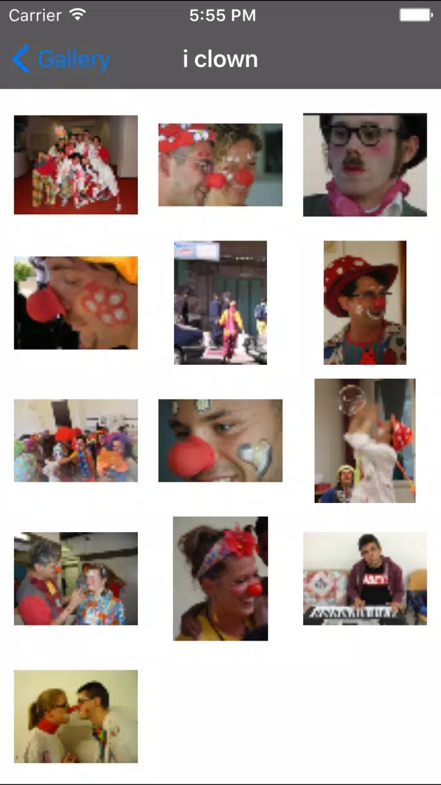 Tangkapan skrin Dottor Clown Italia