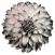 Blossom App