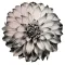 Blossom App