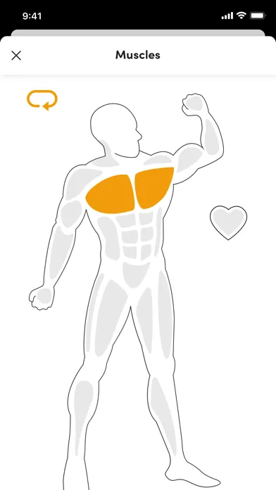 صور Lev Athletics Box