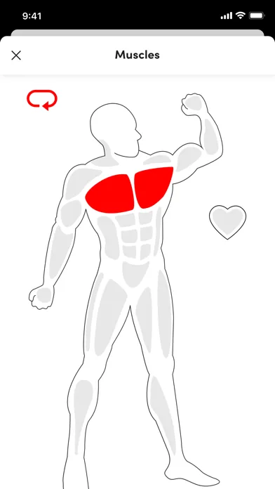 تصاویر Iron Bear Gym - Fitnessportal