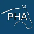 Performance Horse Academy