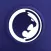 Rolles Gracie Virtual Academy