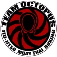 Team Octopus Virtual Team Octopus Virtual