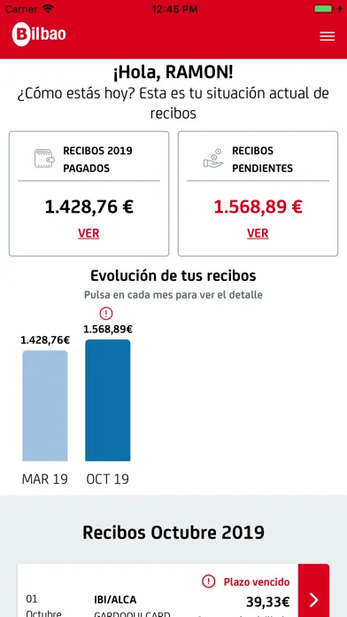 Ảnh chụp màn hình của Bilbao UdalTax
