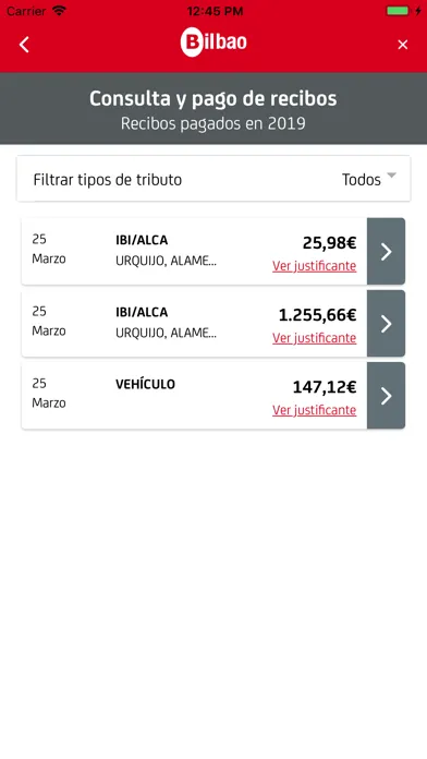 Ảnh chụp màn hình của Bilbao UdalTax