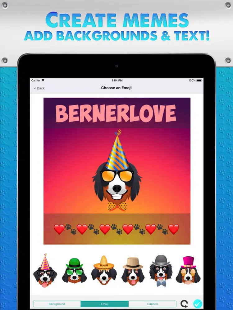 Zrzuty ekranu BernerMoji 2 iPad 