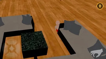 Hide & Seek: Finding Child 3d应用截图