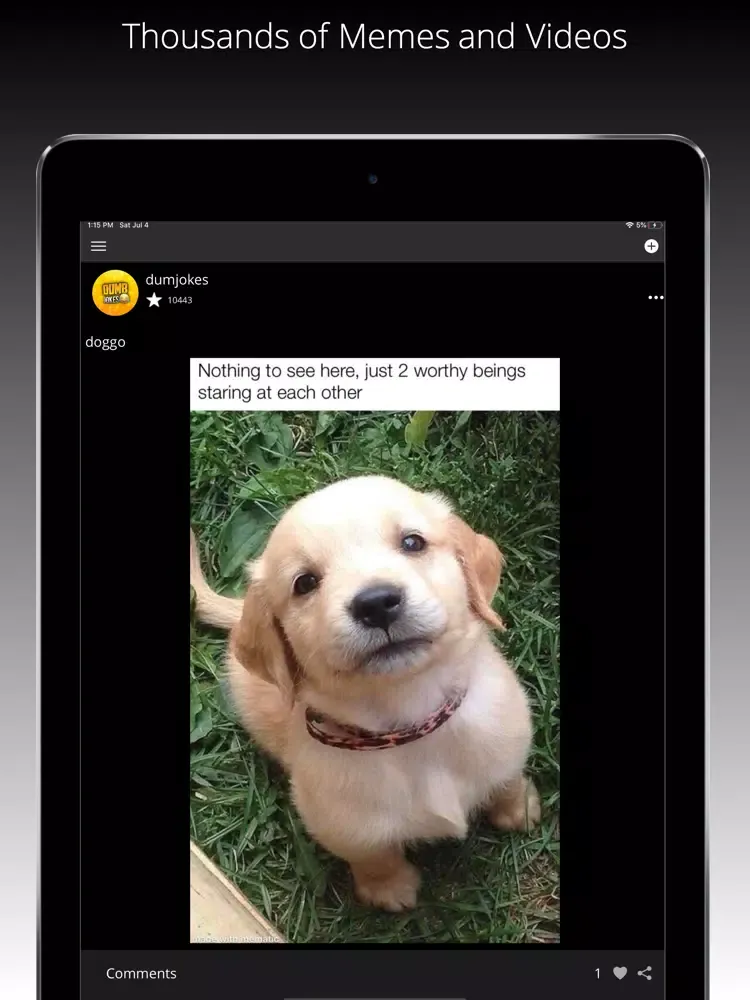 Screenshot di Dumb Jokes Memes iPad 