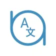 Exact Translation AI Translate