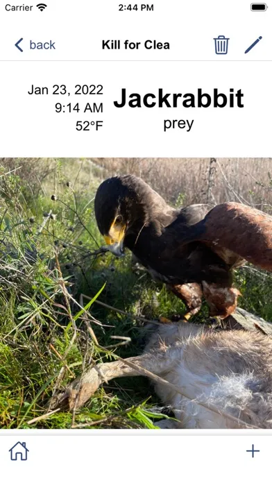 Falconry Journal スクリーンショット