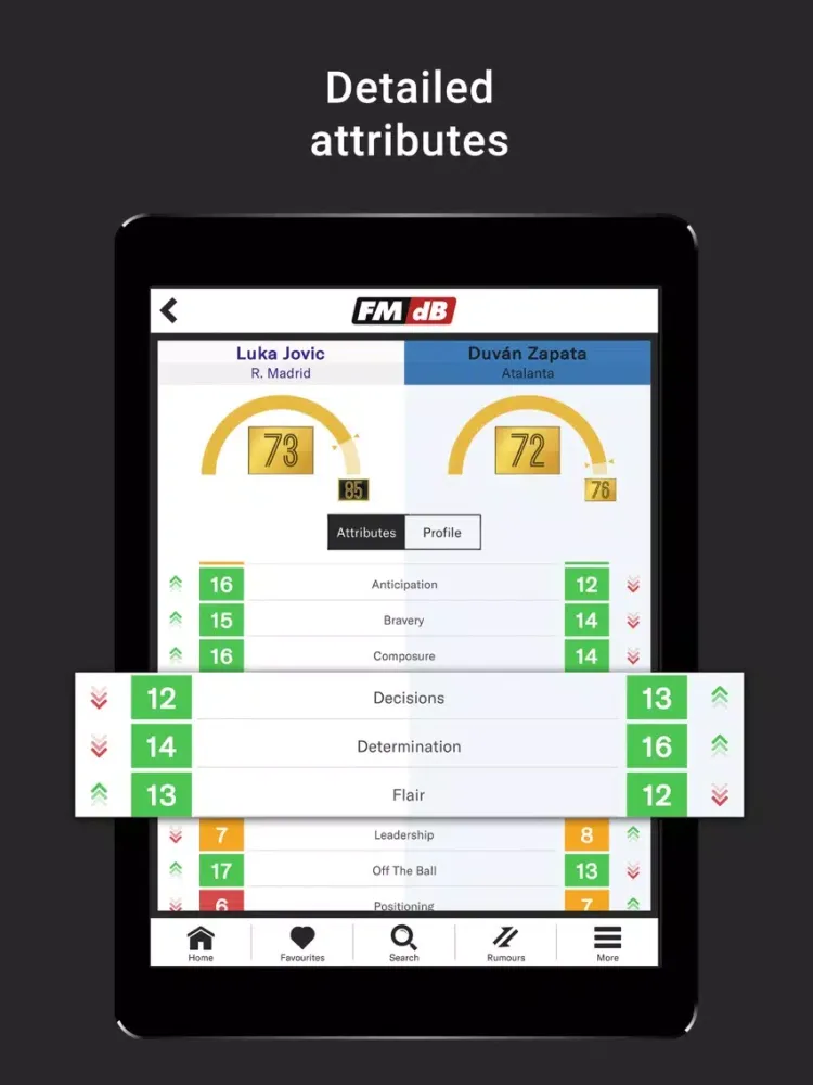 FMdB Football Scout iPad  스크린샷
