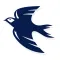 CityBluebirds - Live Scores