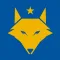 ComeOnLeicester - Live Scores