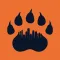 Windy City Bears Fanzine