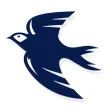 CityBluebirds - Live Scores