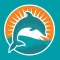 Fins Up