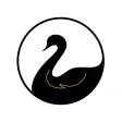 WeAreSwansea - Live Scores WeAreSwansea - Live Scores