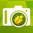 Farmer - Crop monitoring