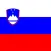 Dictionnaire Slovène-Français