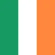 Irish-English Dictionary