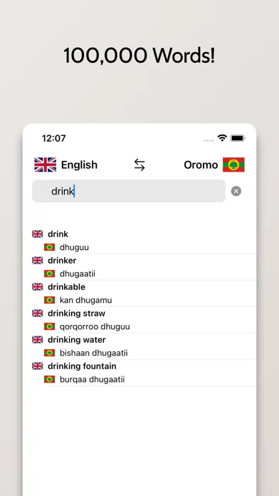 ภาพหน้าจอของ Oromo-English Dictionary