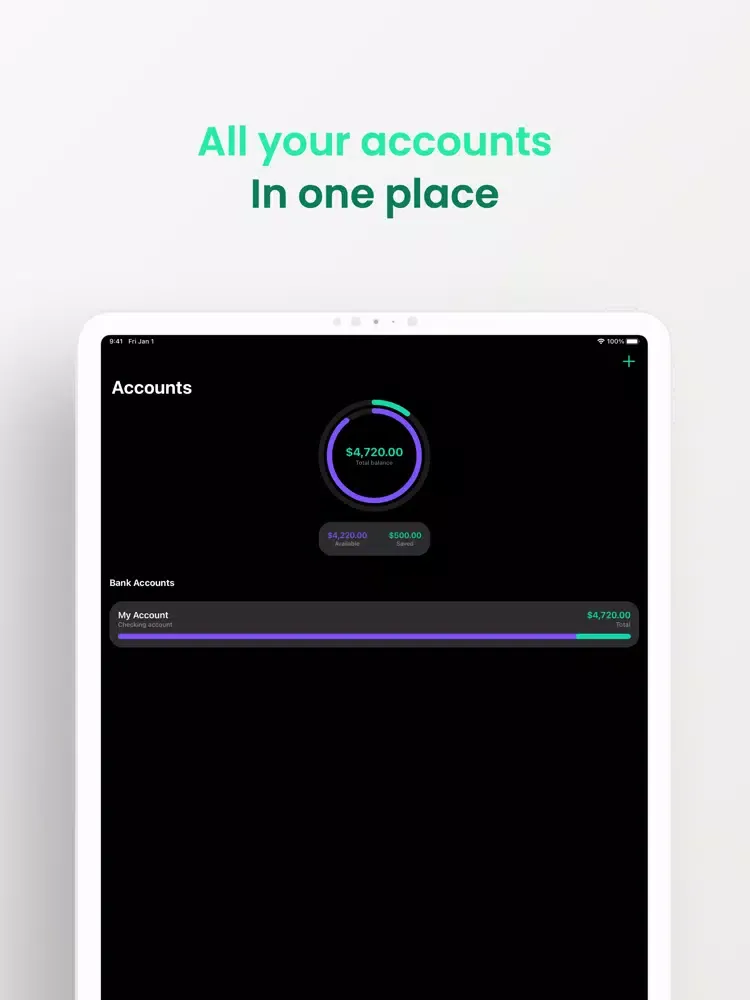 Billy - Budget Planner iPad  स्क्रीनशॉट