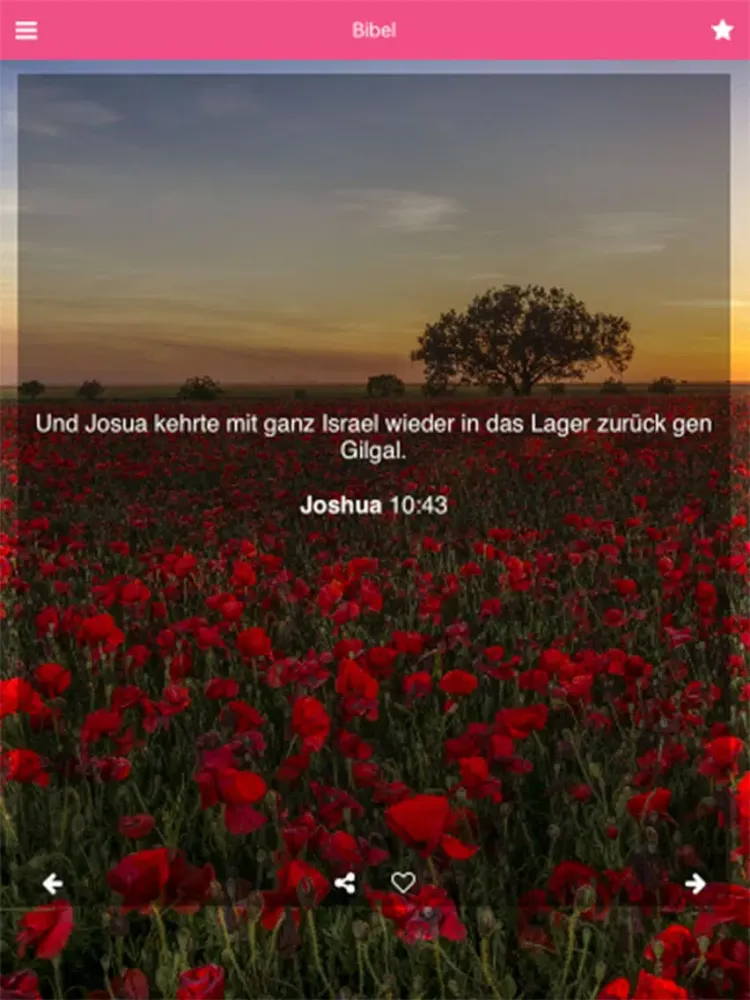 Unsere Bibel für Frauen iPad  Screenshots
