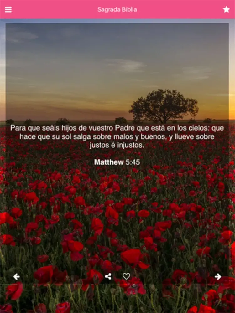 Nuestra Santa Biblia para la Mujer iPad  スクリーンショット