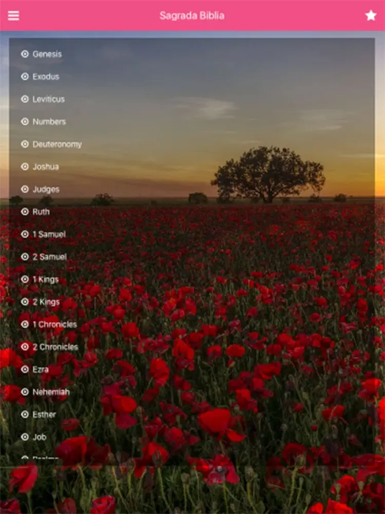 Наша Святая Библия для женщин iPad  스크린샷