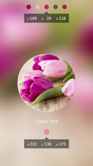 Zrzuty ekranu Color Lens: an AR color picker