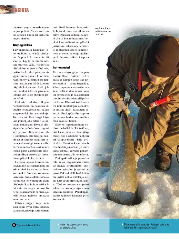 Tangkapan layar Vapaa-ajan Kalastaja iPad