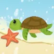 Save The Turtle Save The Turtle