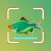 Fish Identifier - Fish Finder
