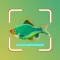 Fish Identifier - Fish Finder