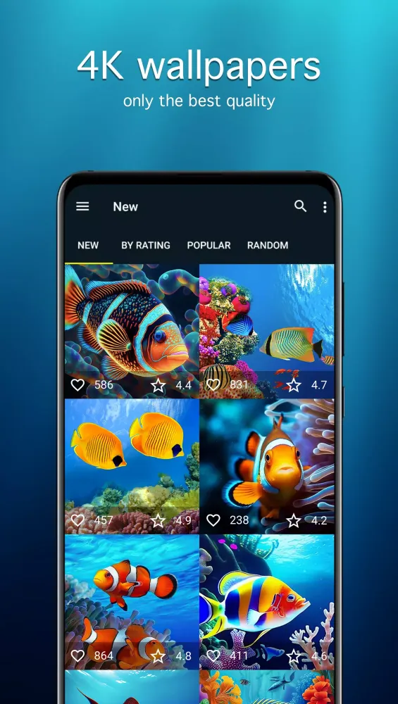 Fish Wallpapers 4K Screenshots
