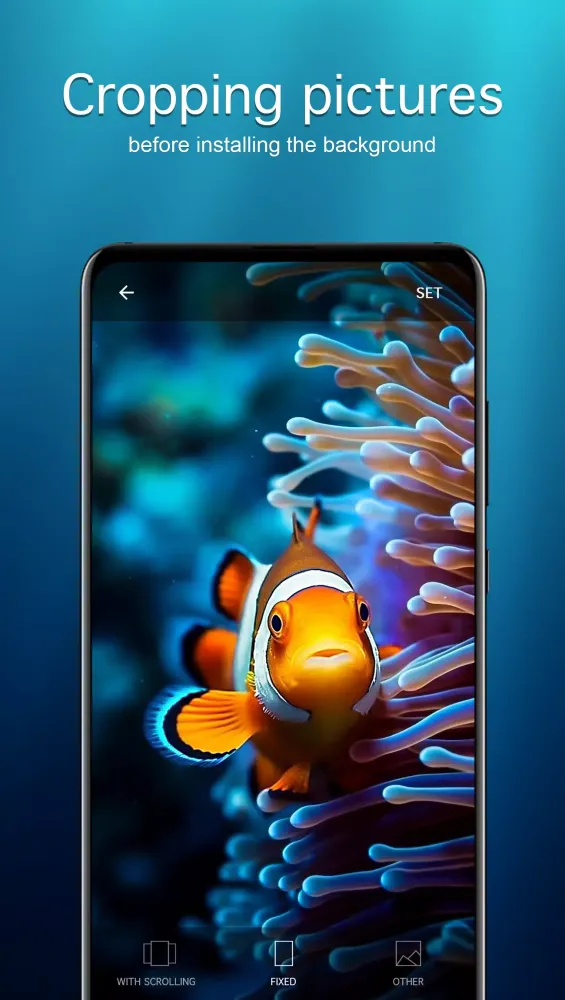 Fish Wallpapers 4K Screenshots